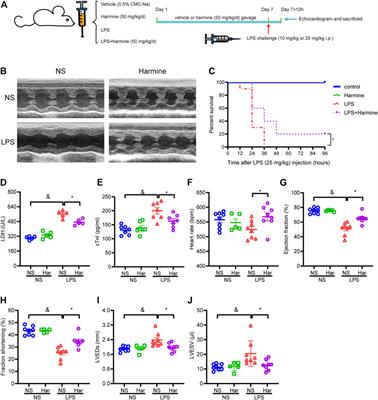 Harmine Alleviated Sepsis-Induced Cardiac Dysfunction by Modulating Macrophage Polarization via the STAT/MAPK/NF-κB Pathway